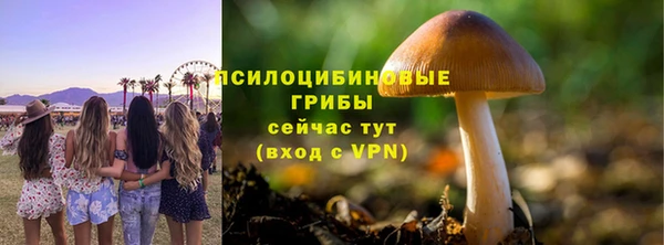 прущая мука Лагань