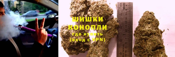 крисы Ладушкин