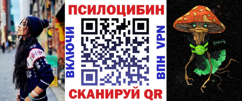 Купить закладки  Навашино  Галлюциногенные грибы мухоморы 